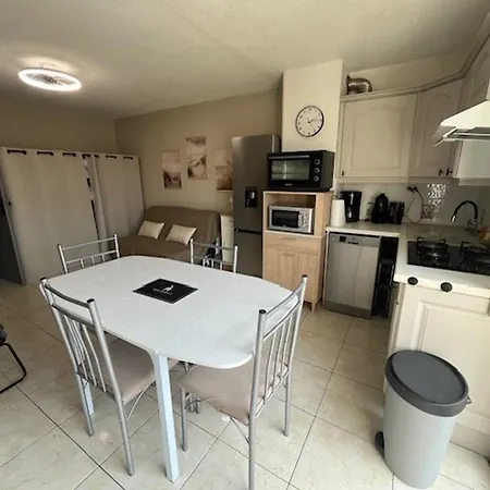 Renove 4 Pers, Animaux Admis, Cap D'agde - Fr-1-749-91 *